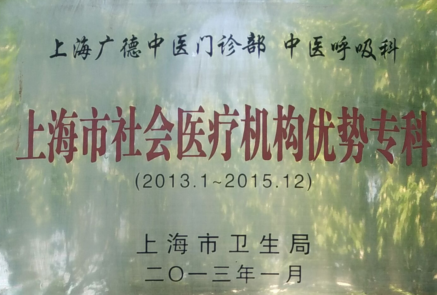  上(shàng)海(hǎi)社會(huì)醫(yī)療機(jī)構優勢專科(kē) 